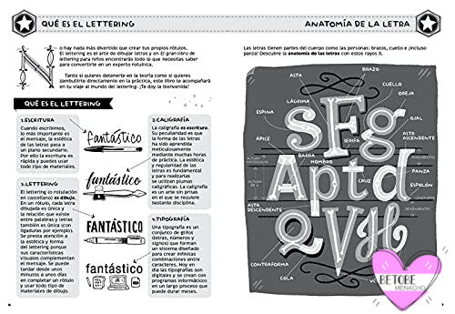 Alpino Rotuladores Punta Pincel Brush Lettering ( 12 Colores ) – Be To Be  Menacho